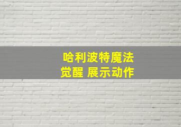 哈利波特魔法觉醒 展示动作